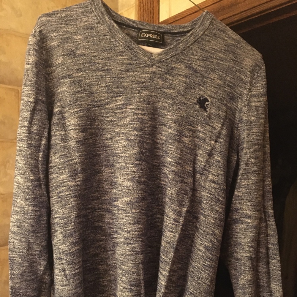 Express V Neck Sweater